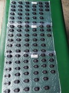 Con trượt  MGN12C, MGN12H