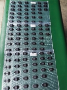 Con trượt MGN12C MGN12H